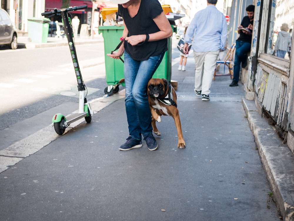 Femme se faisant emmêler avec la laisse de son chien par se dernier, pendant la promenade dans les rues de Paris